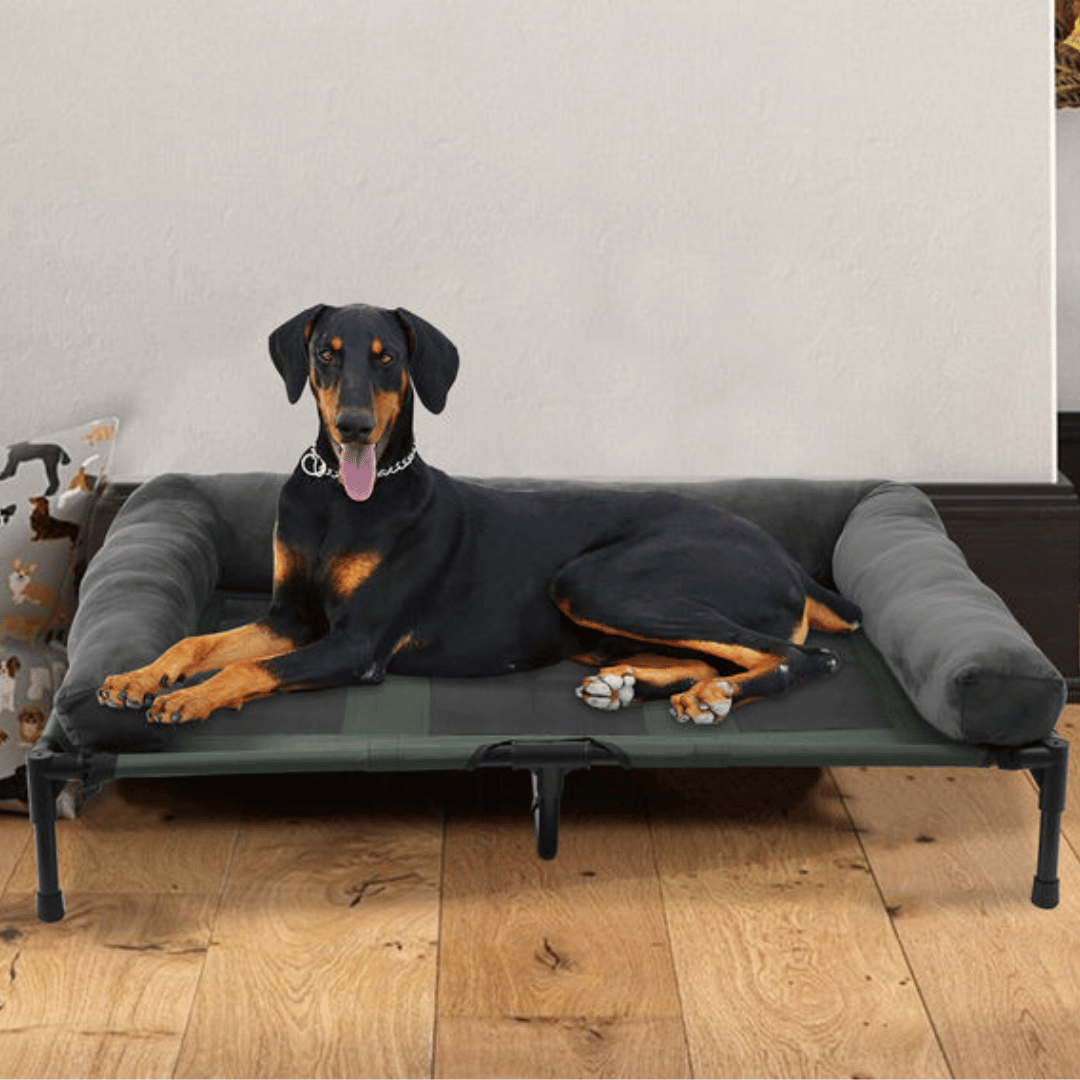 PawRest™ XL Raised Dog Bolster Bed for Large Dogs