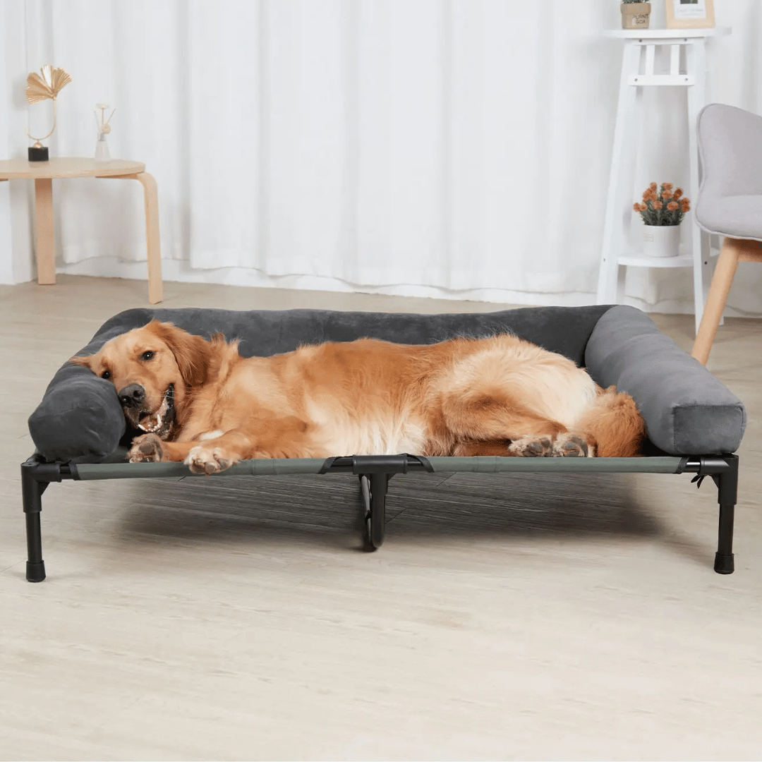 PawRest™ XL Raised Dog Bolster Bed for Large Dogs