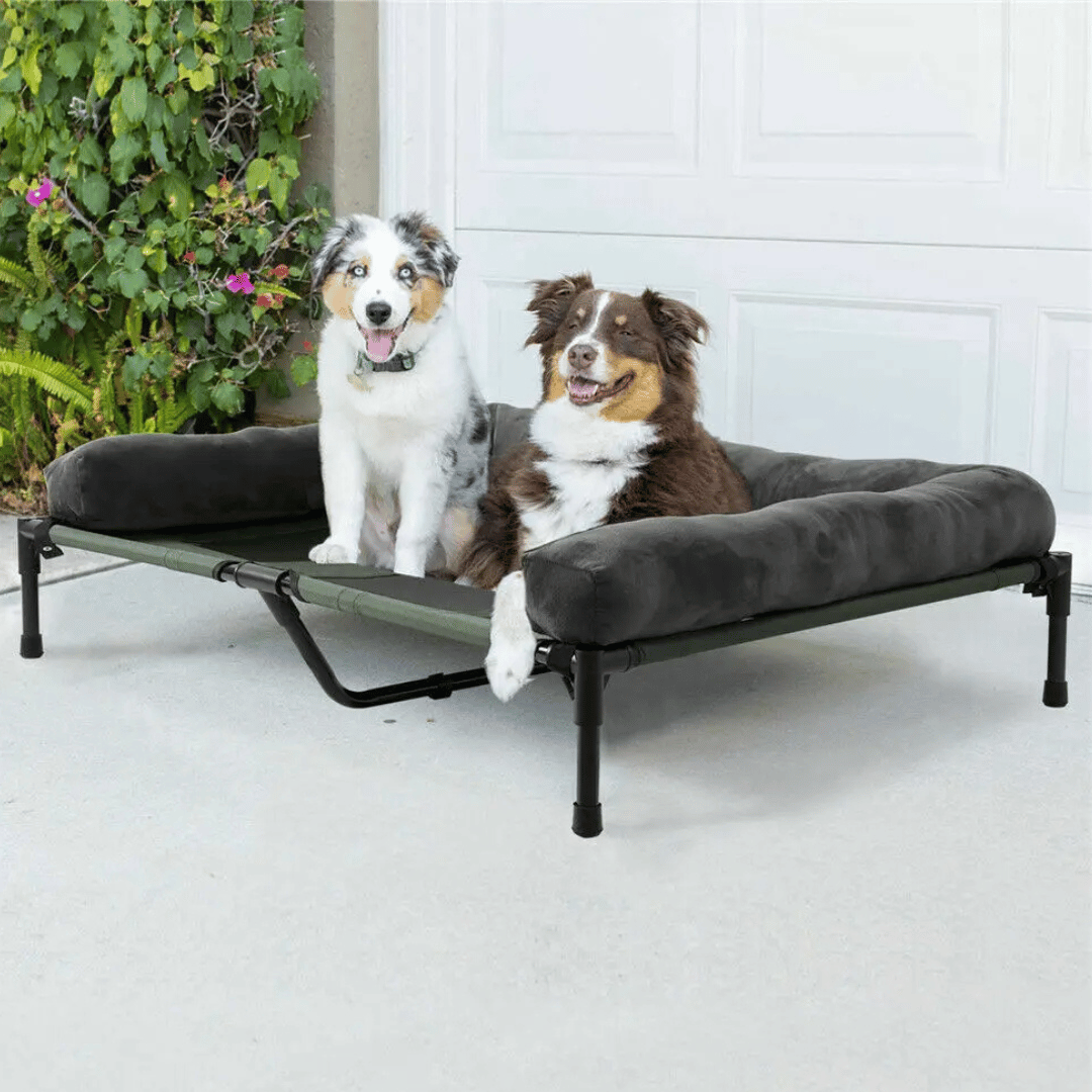 PawRest™ XL Raised Dog Bolster Bed for Large Dogs